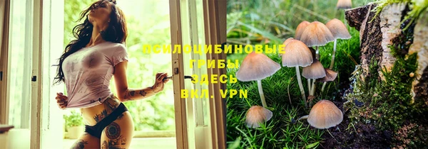 spice Абаза