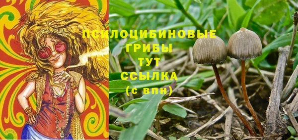 spice Абаза
