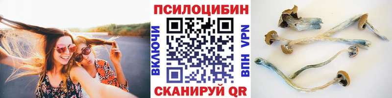 где купить наркотик  Невельск  Галлюциногенные грибы Cubensis 